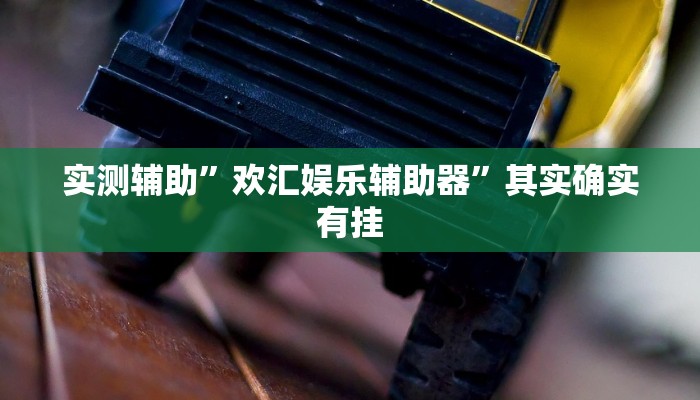实测辅助”欢汇娱乐辅助器”其实确实有挂