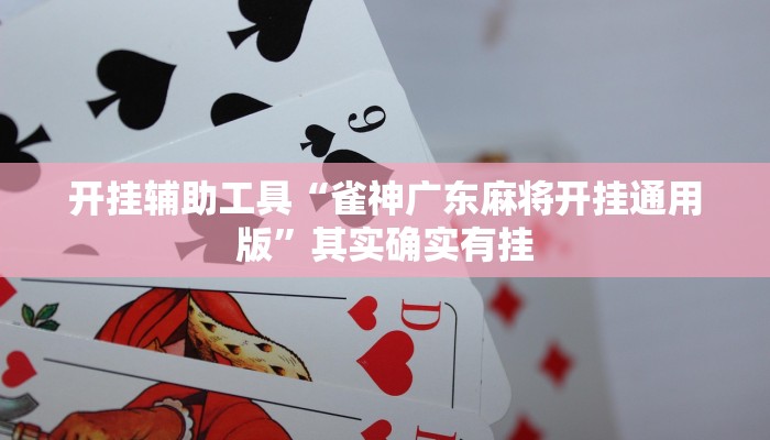 开挂辅助工具“雀神广东麻将开挂通用版”其实确实有挂