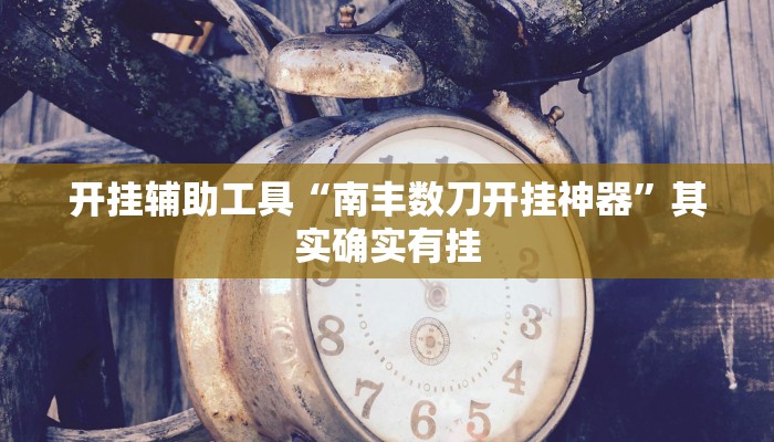 开挂辅助工具“南丰数刀开挂神器”其实确实有挂