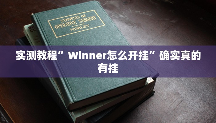 实测教程”Winner怎么开挂”确实真的有挂