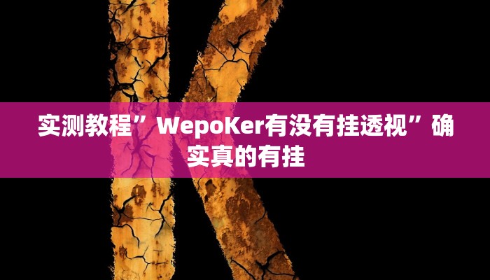 实测教程”WepoKer有没有挂透视”确实真的有挂