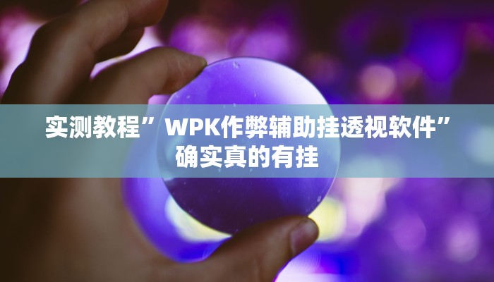 实测教程”WPK作弊辅助挂透视软件”确实真的有挂