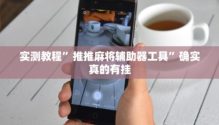 实测教程”推推麻将辅助器工具”确实真的有挂