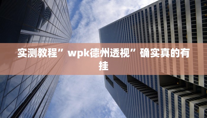 实测教程”wpk德州透视”确实真的有挂