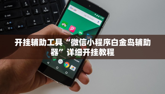 开挂辅助工具“微信小程序白金岛辅助器”详细开挂教程