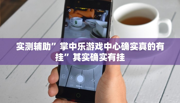 实测辅助”掌中乐游戏中心确实真的有挂”其实确实有挂