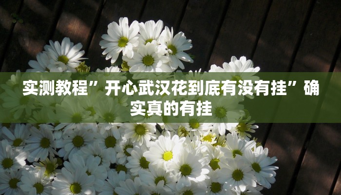 实测教程”开心武汉花到底有没有挂”确实真的有挂