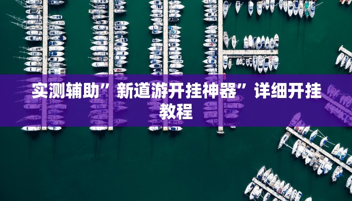 实测辅助”新道游开挂神器”详细开挂教程