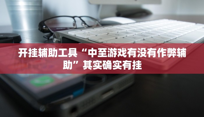 开挂辅助工具“中至游戏有没有作弊辅助”其实确实有挂