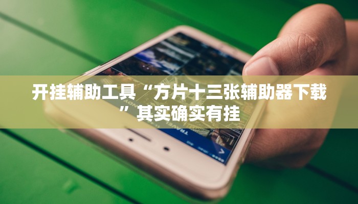 开挂辅助工具“方片十三张辅助器下载”其实确实有挂