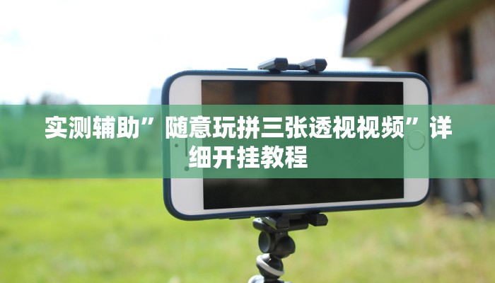 实测辅助”随意玩拼三张透视视频”详细开挂教程