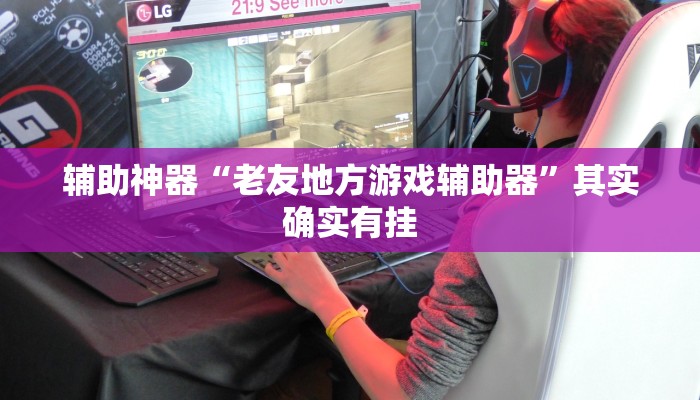 辅助神器“老友地方游戏辅助器”其实确实有挂