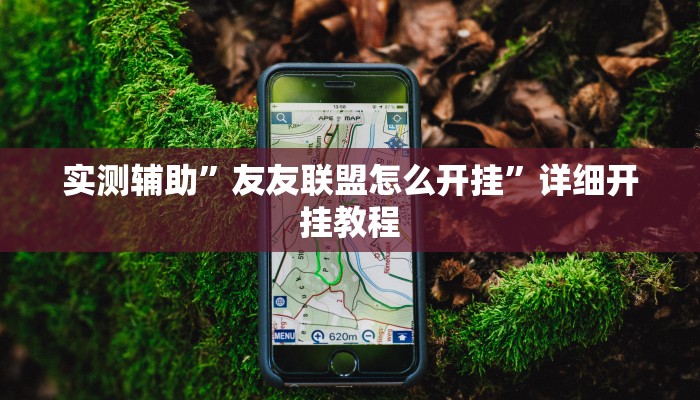 实测辅助”友友联盟怎么开挂”详细开挂教程