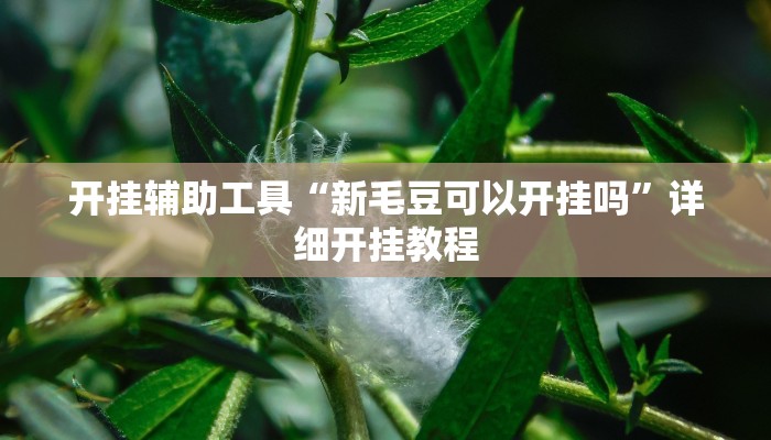 开挂辅助工具“新毛豆可以开挂吗”详细开挂教程