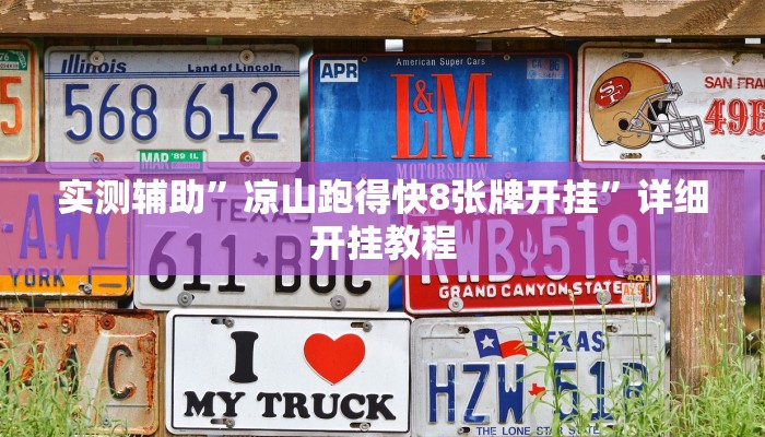 实测辅助”凉山跑得快8张牌开挂”详细开挂教程