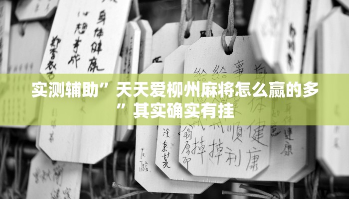 实测辅助”天天爱柳州麻将怎么赢的多”其实确实有挂