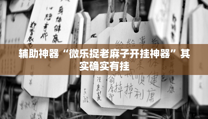 辅助神器“微乐捉老麻子开挂神器”其实确实有挂