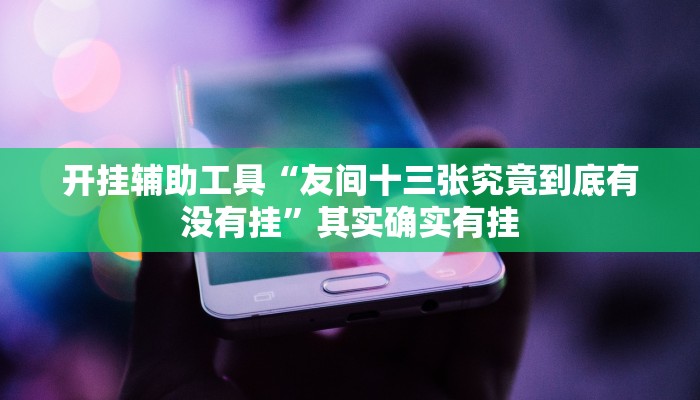 开挂辅助工具“友间十三张究竟到底有没有挂”其实确实有挂