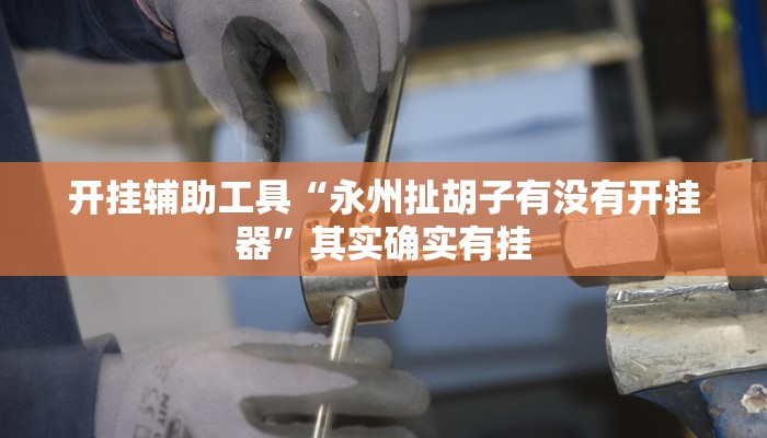 开挂辅助工具“永州扯胡子有没有开挂器”其实确实有挂