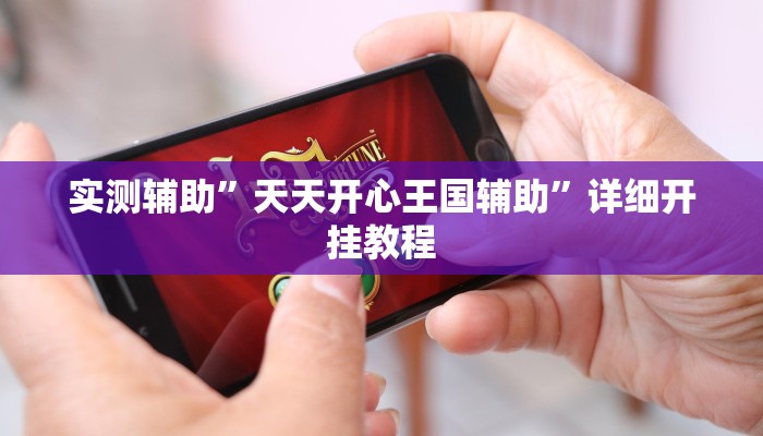 实测辅助”天天开心王国辅助”详细开挂教程