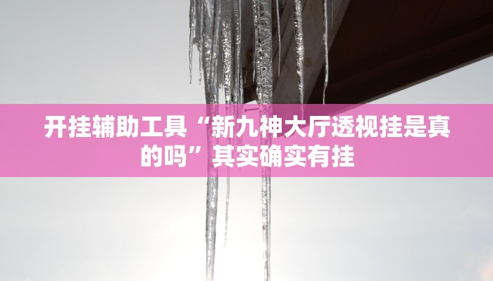 开挂辅助工具“新九神大厅透视挂是真的吗”其实确实有挂