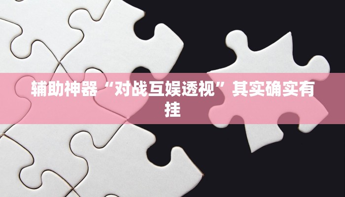 辅助神器“对战互娱透视”其实确实有挂