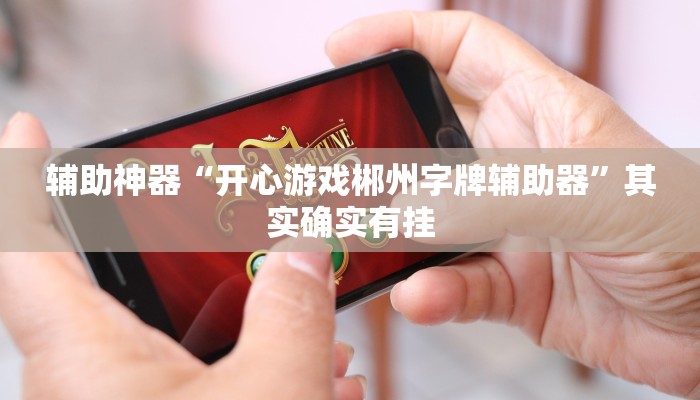 辅助神器“开心游戏郴州字牌辅助器”其实确实有挂