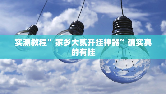 实测教程”家乡大贰开挂神器”确实真的有挂