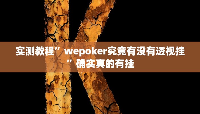 实测教程”wepoker究竟有没有透视挂”确实真的有挂