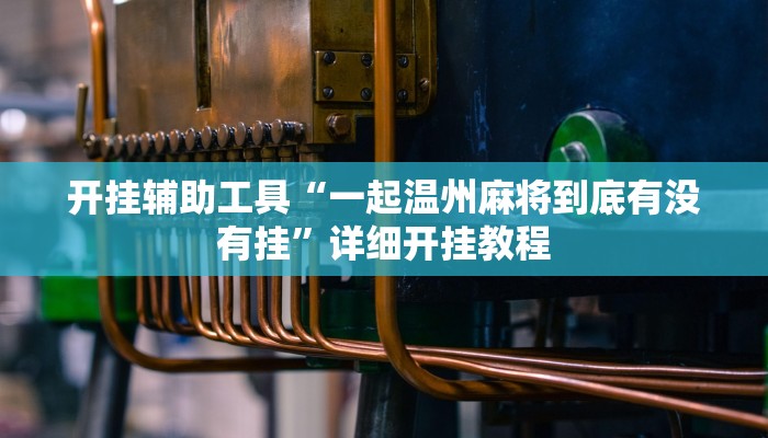 开挂辅助工具“一起温州麻将到底有没有挂”详细开挂教程