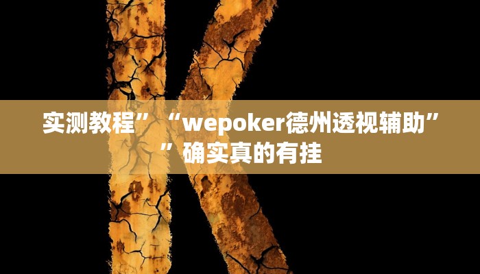 开挂辅助工具“中至吉安王炸辅助器”其实确实有挂