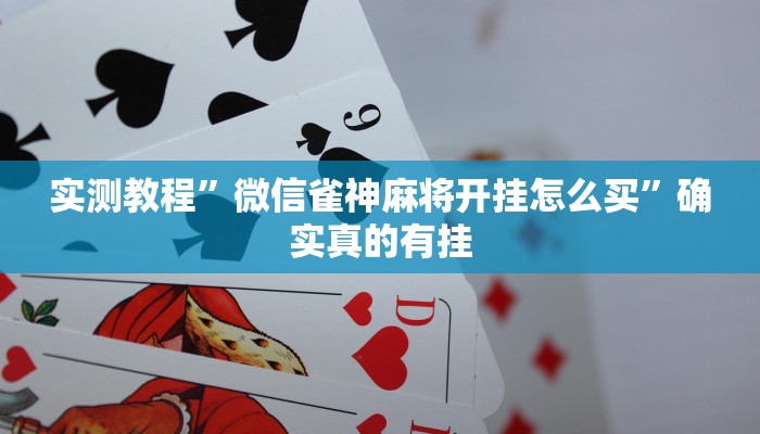 实测辅助”微乐陕西三代挂开挂”详细开挂教程