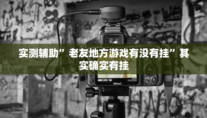 实测辅助”老友地方游戏有没有挂”其实确实有挂