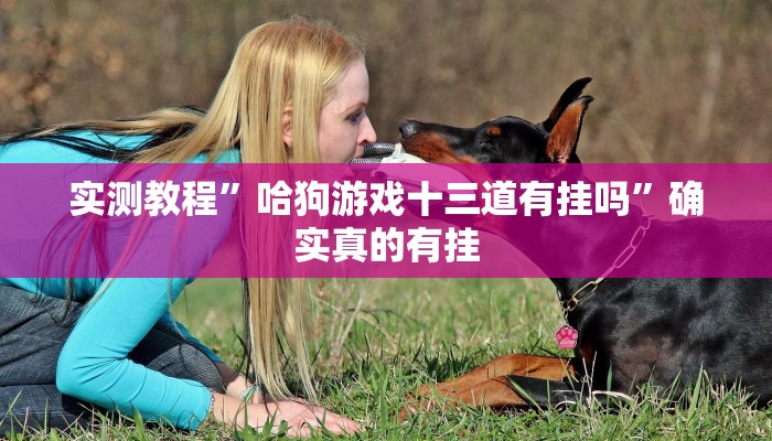 实测教程”哈狗游戏十三道有挂吗”确实真的有挂