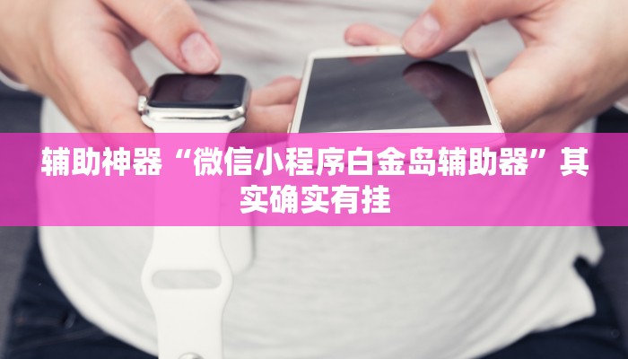 辅助神器“微信小程序白金岛辅助器”其实确实有挂
