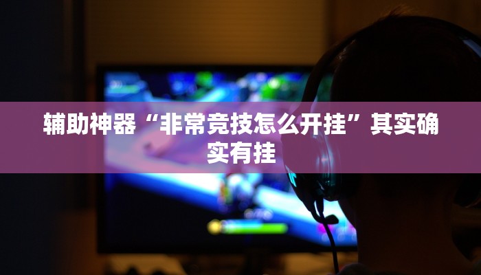 辅助神器“非常竞技怎么开挂”其实确实有挂
