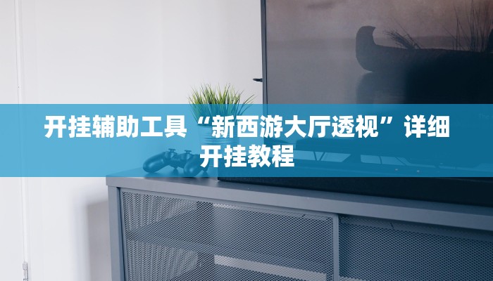 开挂辅助工具“新西游大厅透视”详细开挂教程
