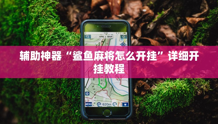 辅助神器“鲨鱼麻将怎么开挂”详细开挂教程
