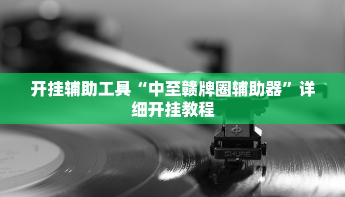 开挂辅助工具“中至赣牌圈辅助器”详细开挂教程