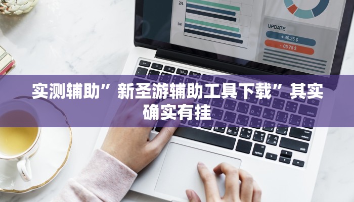 实测辅助”新圣游辅助工具下载”其实确实有挂