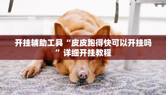 开挂辅助工具“皮皮跑得快可以开挂吗”详细开挂教程