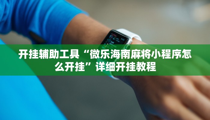 开挂辅助工具“微乐海南麻将小程序怎么开挂”详细开挂教程