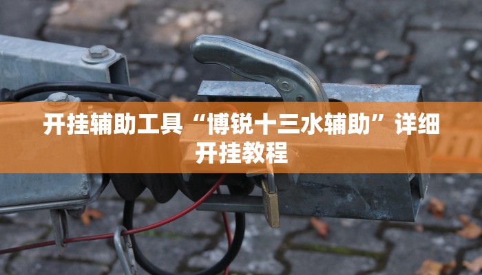 开挂辅助工具“博锐十三水辅助”详细开挂教程