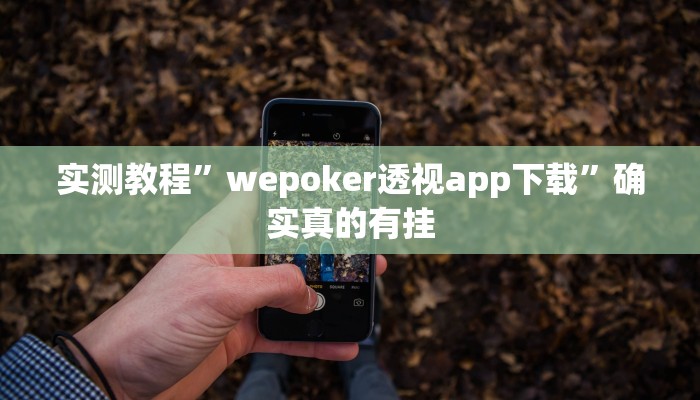 实测教程”wepoker透视app下载”确实真的有挂