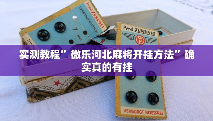 实测教程”微乐河北麻将开挂方法”确实真的有挂