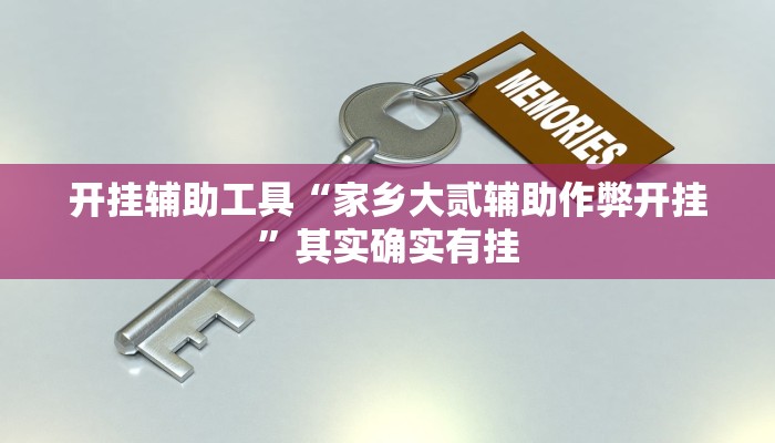 开挂辅助工具“家乡大贰辅助作弊开挂”其实确实有挂