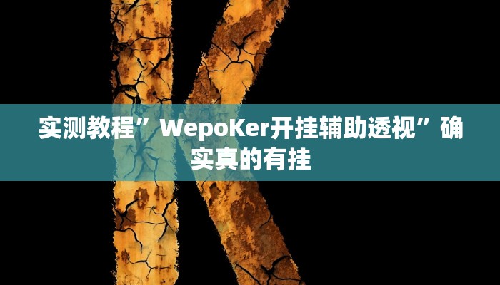 实测教程”WepoKer开挂辅助透视”确实真的有挂