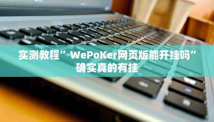 实测教程”WePoKer网页版能开挂吗”确实真的有挂
