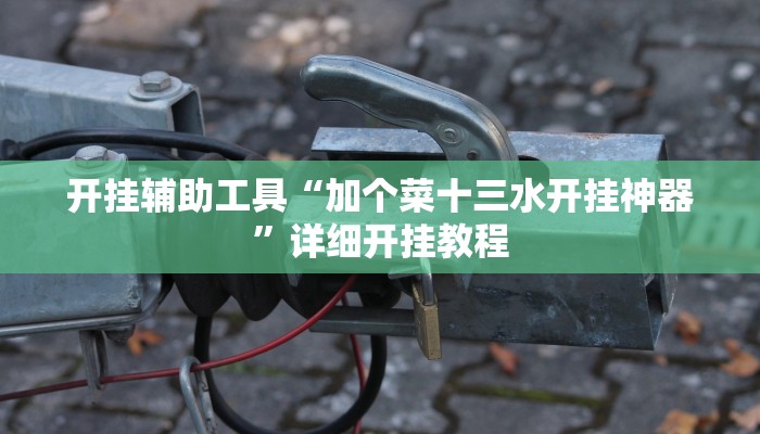开挂辅助工具“加个菜十三水开挂神器”详细开挂教程