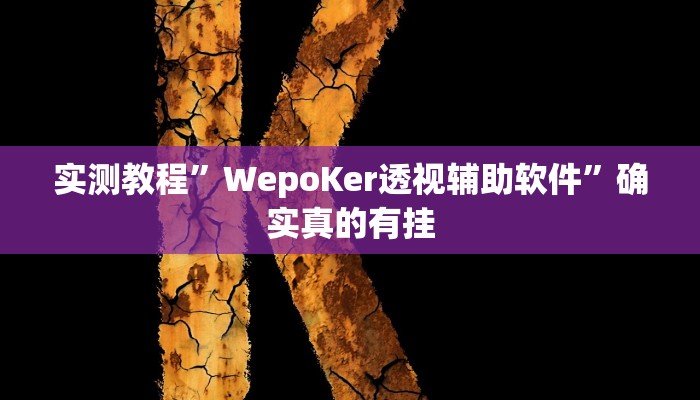 实测教程”WepoKer透视辅助软件”确实真的有挂